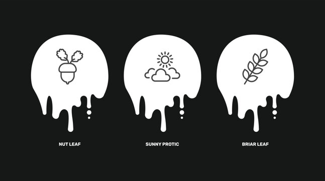nature icon set with nut leaf, sunny protic, briar leaf signs in flat outline style
