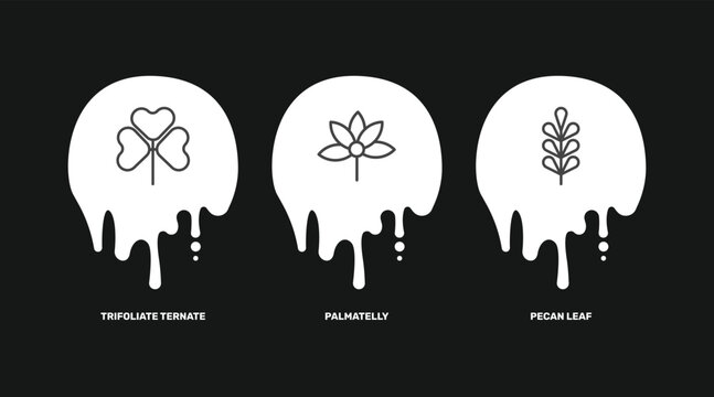 nature icon set with trifoliate ternate, palmatelly, pecan leaf signs in flat outline style