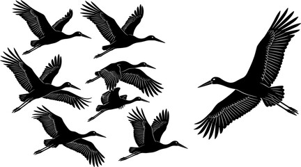 Fototapeta premium Flying Crane Bird Silhouette Collection Featuring Migratory Flock in Various Flight Poses for Wildlife Nature Vector Design