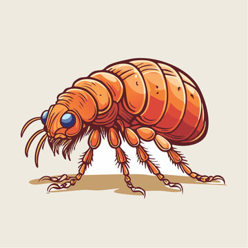 Cartoon Illustration of a Flea