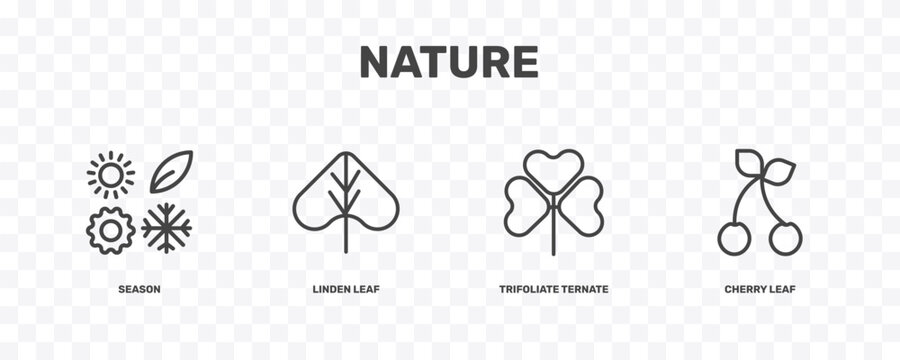 nature icon set with season, linden leaf, trifoliate ternate, cherry leaf signs in flat outline style