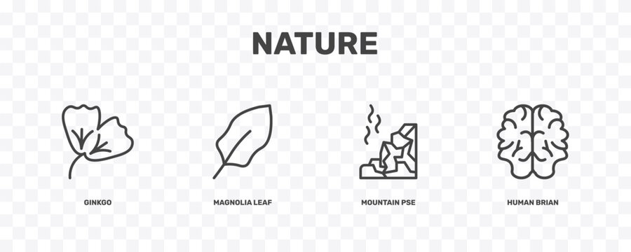 nature icon set with ginkgo, magnolia leaf, mountain pse, human brian signs in flat outline style
