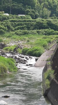 【縦型素材】緑の山々と岩の間を流れる川、コンクリートの護岸 4K（固定撮影）
