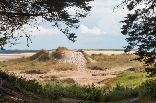 Dune, plage et mer vues depuis le sentier c&ocirc;tier de la presqu'&icirc;le du Cotentin, pr&egrave;s de Tourneville-sur-Mer, en Normandie, France.
