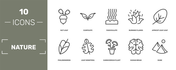 nature icon set with nut leaf, cuspicate, fasciculate, dune signs in flat outline style © Abstract