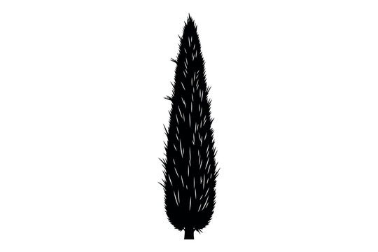 Black silhouette of a single pine tree isolated on white background with detailed branches and foliage