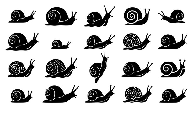 Different snail silhouettes collection vector illustration mollusk set isolated on white background