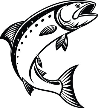 vector illustration of a salmon