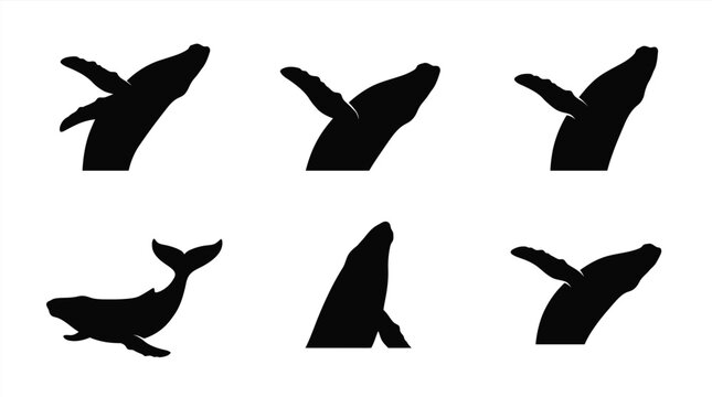 Black whale tail silhouettes on white background Vector