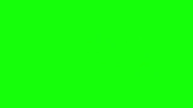 Dynamic red sticker style book now label animation set on a green screen chroma background