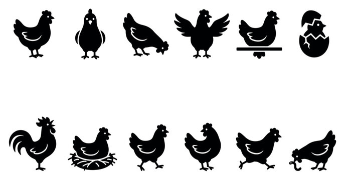 Collection of various black chicken and rooster silhouettes in different poses, including a chick hatching from an egg, on a clean white background