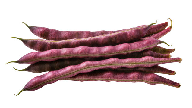 Isolated pile of fresh vibrant purple string beans arranged horizontally, organic vegetable produce