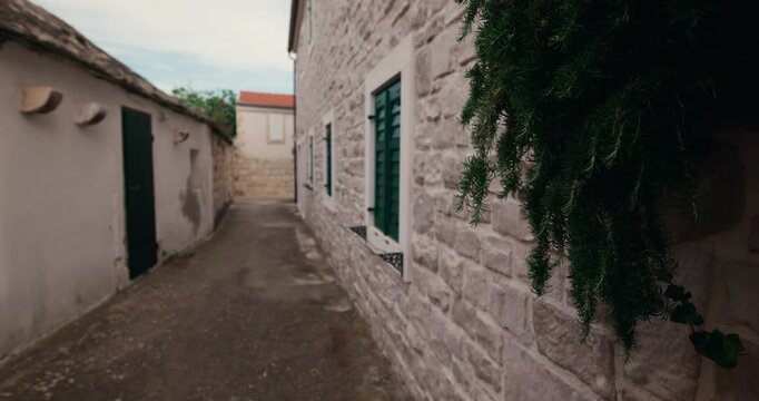 Rosemary hangs beside a narrow alley lined with traditional stone houses in Primosten, Croatia.