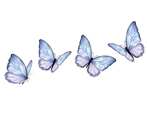 Obraz premium watercolor hand drawn design
