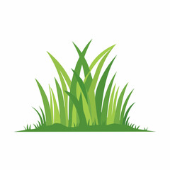 Fototapeta premium Green Grass Illustration