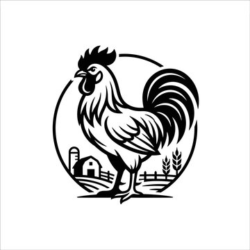 Black and white rooster standing proudly.