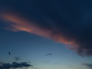 Obraz premium Dramatic Pink Storm Clouds Across a Blue Twilight Sky