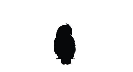 Fototapeta premium Owl Silhouette Against White Background Dark Monochrome Shape