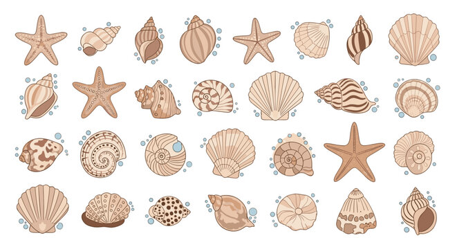 Extensive pattern set of beige cartoon seashells and starfish surrounded by water bubbles on a clean white background.