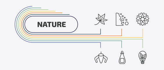 nature outline icon set. thin line falling debris, aster, ylang-ylang, essence and more icons. editable vector © Farahim