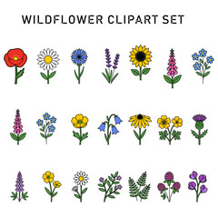 Colorful Wildflower Clipart Set, Minimalist Botanical Line Art Outline © Rina N. Setyaningsih