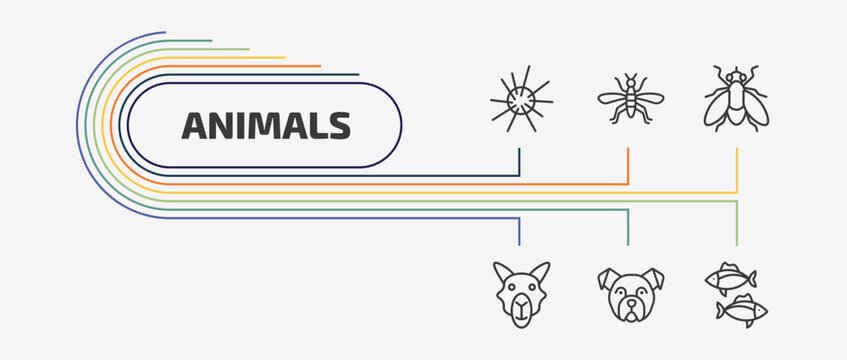 animals outline icon set. thin line mosquito, fly, camel, bulldog and more icons. editable vector
