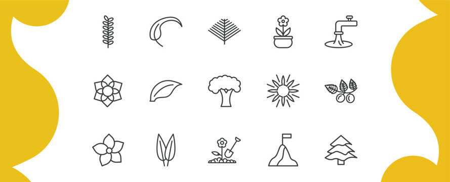 nature outline icon set. thin line acacia, falcate, plant pot, balsam fir tree and more icons. editable vector