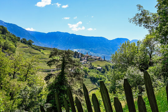 Dorf Tirol, Kirche, Weinberge, Wanderweg, Spazierweg, Obstb&auml;ume, Landwirtschaft, Vinschgau, S&uuml;dtirol, Fr&uuml;hling, Fr&uuml;hlingstag, Sommer, Aussicht, Italien