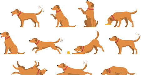 Obraz premium Cute Golden Retriever Dog Character Mascot Set with Various Poses Activities Training and Playful Actions for Pet Care Brand Branding and Illustrations