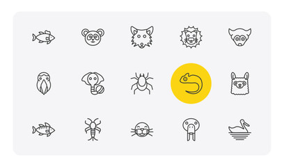Fototapeta premium animals outline icon set. thin line salmon, panda bear, lion head, pelican and more icons. editable vector