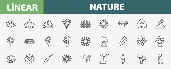 nature outline icon set. thin line mountains with trees, ylang-ylang, burn, black oak tree and more icons. editable vector © Farahim