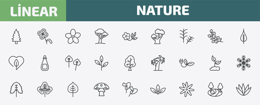 nature outline icon set. thin line eastern redcedar tree, floral decorations, oleander, sunny park and more icons. editable vector