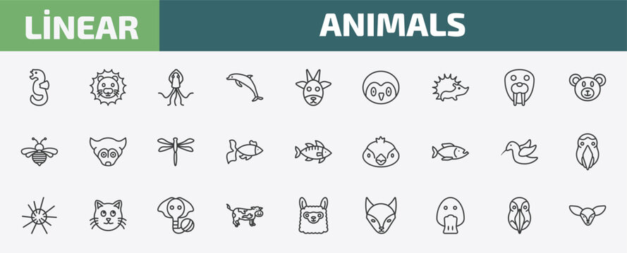 animals outline icon set. thin line seahorse, lion, squid, deadlock and more icons. editable vector
