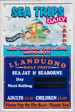 Sea Trips Daily Llandudno