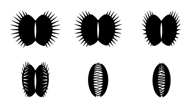 Venus Flytrap Icons, Insectivorous Plant Silhouettes, Carnivorous Flora Vector Set