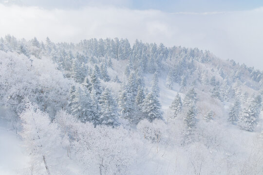 日本の風景・冬　奥飛騨　新穂高ロープウェイからの眺望