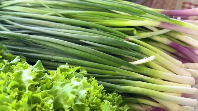 Vendor taking young green onions by hand from fresh bundles on bazaar counter near salad leaves with healthy farm vegetable atmosphere.