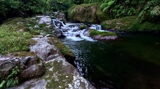Calm Rainforest River Pool in Tropical Ecuador with Small Cascades, Mossy Rocks, Green Vegetation and Remote Freshwater Nature Landscape