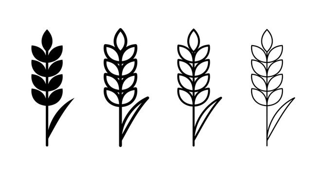 Set of minimalist grain plant silhouettes in black and white design