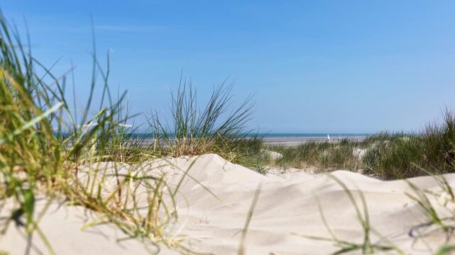 Blick durch gr&uuml;nen Strandhafer auf die feinen Sandd&uuml;nen von Bray-Dunes. Im Hintergrund erstreckt sich das ruhige Meer unter einem strahlend blauen Sommerhimmel.