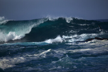 Pacific Ocean waves © lynda