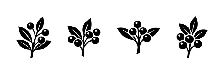 Set of stylized black berry branches with leaves and berries © Compositor 