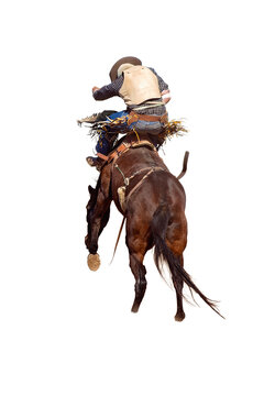 Cowboy Rides Bucking Rodeo Horse