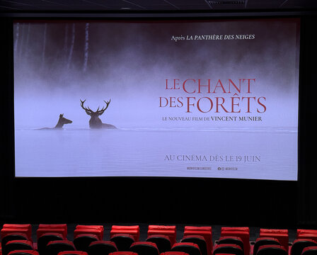 Affiche du film documentaire Le chant des for&ecirc;ts du photographe animalier Vincent Munier au Cin&eacute;ma.
