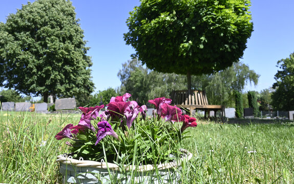 friedhof