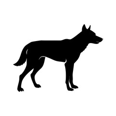 Fototapeta premium dingo icon silhouette illustration for wildlife and nature design