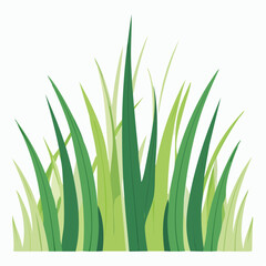 Fototapeta premium Green Grass Blades Illustration