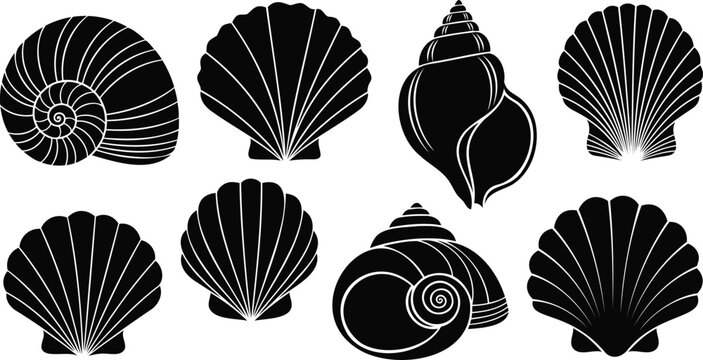 Set of black seashell icons and sea snail silhouettes
