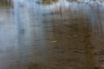 River photo, Wild Photo Artistic photography © jose