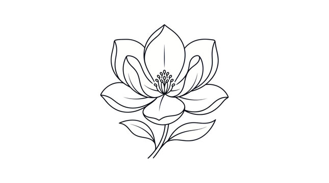 Magnolia Flower Line Art - Elegant Botanical Illustration
